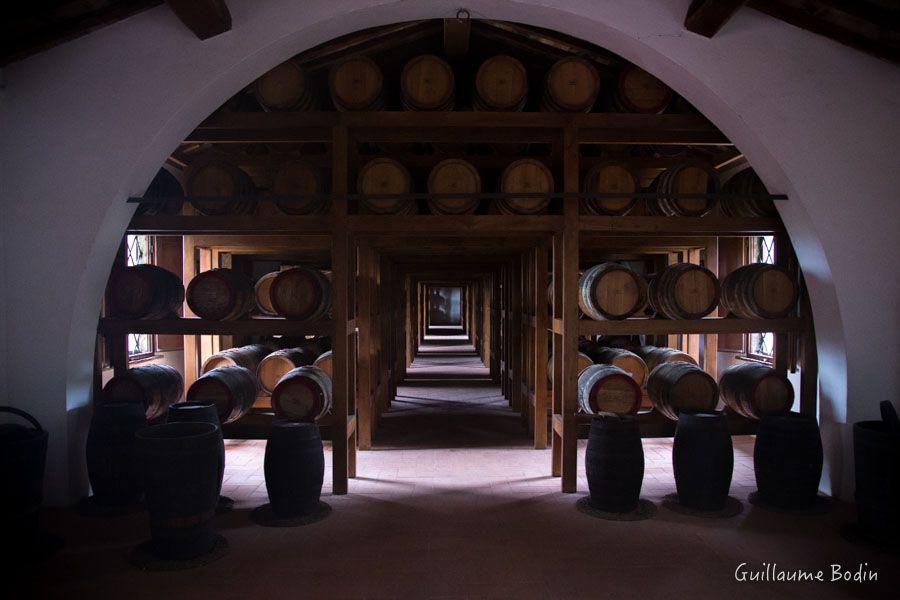 Cave de vieillissement du Vin Santo chez Avignonesi